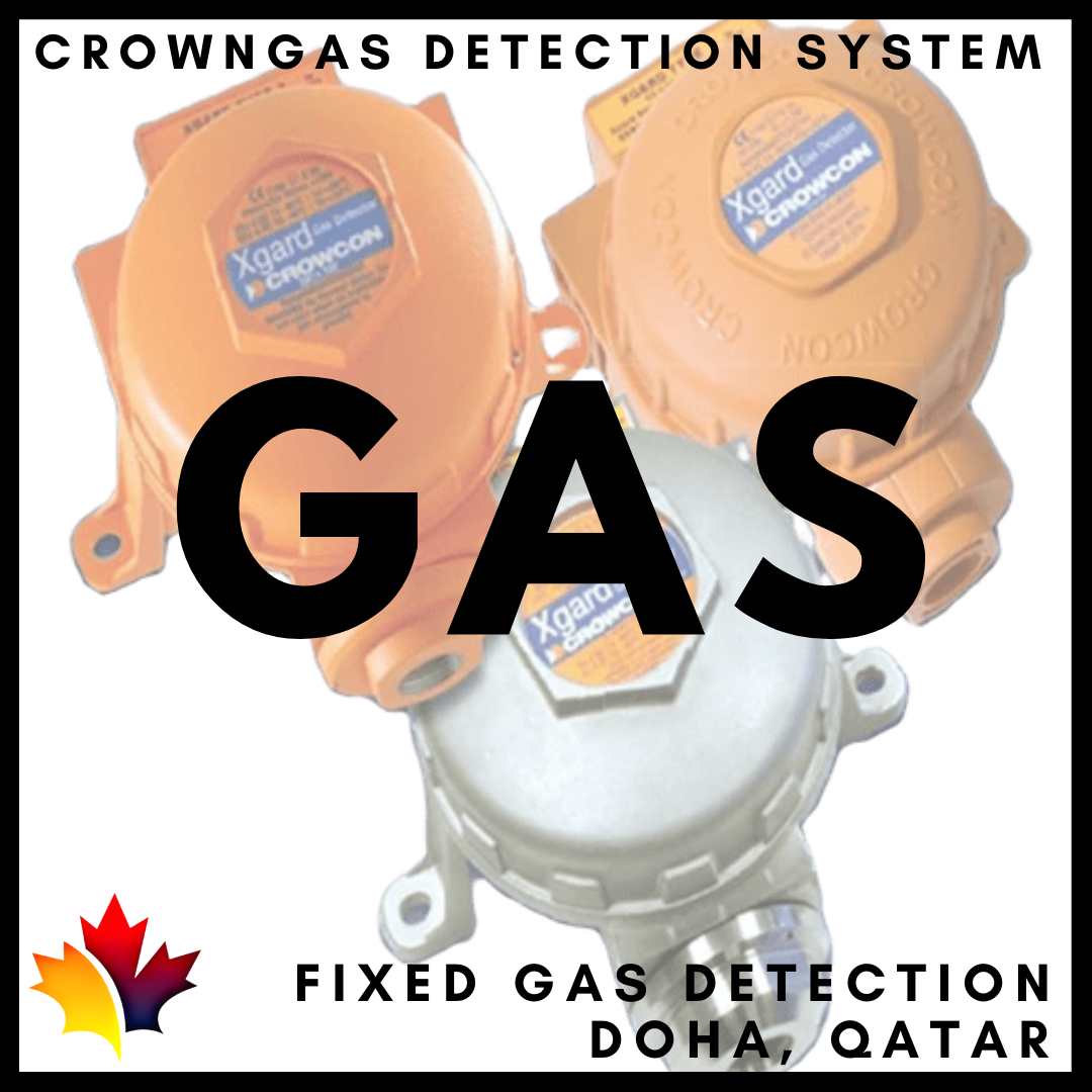 Toxic & Flammable Gas Detectors